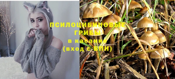 герыч Аркадак