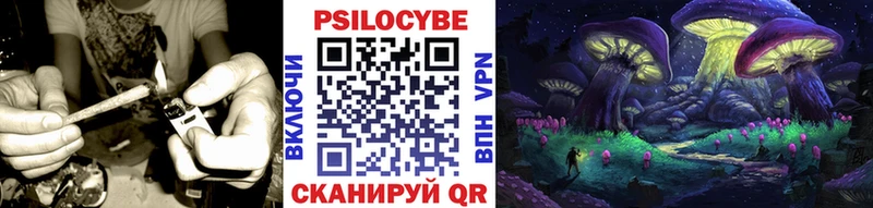 Псилоцибиновые грибы ЛСД  darknet Telegram  Сураж 